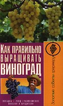 Как правильно выращивать виноград