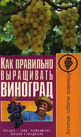 Как правильно выращивать виноград