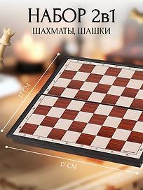 Настольная игра «Шашки и шахматы 2в1», на магните
