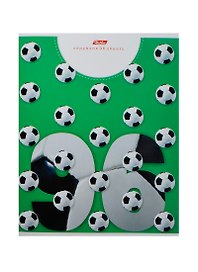 Тетрадь 96л кл. "PRO 96" офсет, ассорти, Hatber