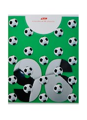 Тетрадь 96л кл. "PRO 96" офсет, ассорти, Hatber