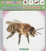 Обучающие карточки. Насекомые
