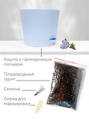 Набор д/выращивания растений Магия цветов, Литопсы микс (живые камни) (mf-004) - 1
