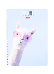 Тетрадь в клетку Hatber, "Кто здесь?", А4, 96 листов, в ассортименте