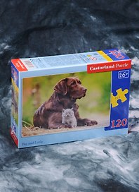 Пазл Castorland MIDI Собака и котенок 120эл., 32*23см