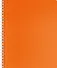 Тетрадь в клетку Hatber, Diamond Neon, 80 листов, оранжевая - 0