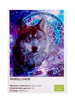 Картина по номерам Art idea Ловец снов 30*40см24цв N023