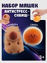 Набор Антистресс мяшка Смайл в пластиковой коробке (упаковка) (15-01839-4743)+Антистресс мяшка Капибара (упаковка) (15-2255-8788)