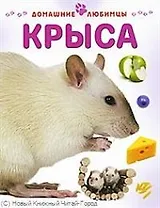 Крыса / (мягк) (Домашние любимцы). Рейнер М. (Аст-Пресс)