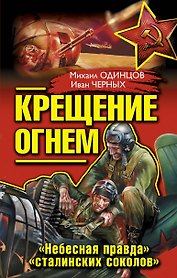 Крещение огнем. "Небесная правда" "сталинских соколов"