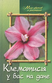 Клематисы у вас на даче