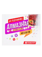 Набор для творчества TUKZAR Алмазная мозаика 40х50см Велосипед