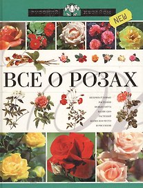 Все о розах