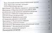 ФГОС Знакомим дошкольников с правилами дорожного движения (3-7 лет) - 2