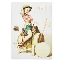 Обложка на автодокументы Hei (00000002147)