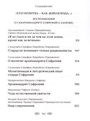Устремленный в вечность. Старец Софроний (Сахаров), ученик преподобного Силуана Афонского - 2