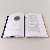 Сто лет недосказанности. Квантовая механика для всех в 25 эссе - 1
