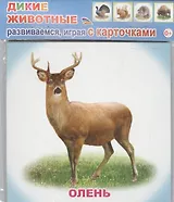 Обучающие карточки. Дикие животные