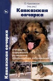 Кавказская овчарка