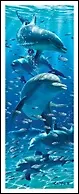 Закладка 3D Dolphins (Листопадова)