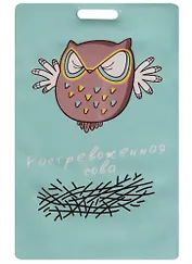 Чехол для карточек Растревоженная сова