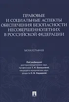 Правовые и социальные аспекты обеспечения безопасности несовершеннолетних в Российской Федерации. Монография