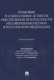 Правовые и социальные аспекты обеспечения безопасности несовершеннолетних в Российской Федерации. Монография