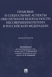 Правовые и социальные аспекты обеспечения безопасности несовершеннолетних в Российской Федерации. Монография