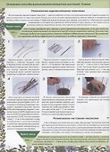 Самая нужная книга о комнатных растениях - 2