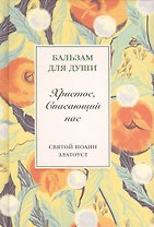 Христос, Спасающий нас.