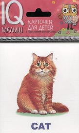 Умный малыш. ENGLISH. Домашние питомцы. Набор карточек для детей.