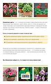 Лучшие цветы. Цветение в доме круглый год (белая обложка) (Подарочные издания. Книги на карточках) - 1