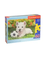Пазл 60 MIDI B-06823 Белый щенок с мячом (32х23см) (5+) (коробка) (Castorland)