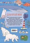 Анатомия океана. Занимательные детали жизни подводного мира - 1