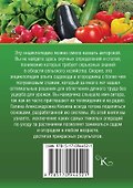 Большой урожай на маленьком участке? Легко! - 1