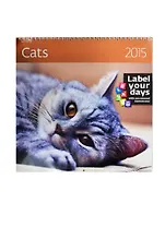 Дневник для мл.кл. "МЕДВЕЖОНОК И КНИЖКИ" 7БЦ, глянц.пл., Феникс+