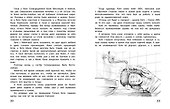Однажды Катя с Манечкой - 2