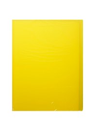 Папка с файлами «Neon» А4, 20 файлов, пластик, желтая, Erich Krause
