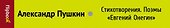 Стихотворения. Поэмы. Евгений Онегин - 2