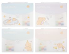 Папка -портфель пластиковый «Capybara» А4, 12 отделений, в ассортименте