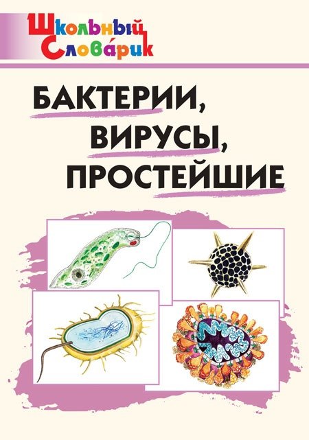 

Бактерии, вирусы, простейшие. Начальная школа