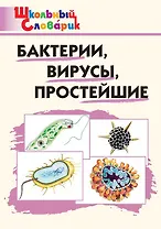 Бактерии, вирусы, простейшие. Начальная школа