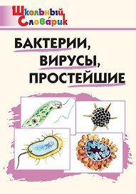 Бактерии, вирусы, простейшие. Начальная школа