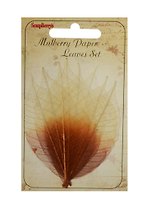 Скелетированные листочки из каучук. дерева 2-цв. коричн. (SCB300504) (набор/8шт.) (упаковка)
