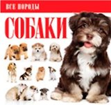 Собаки