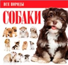 Собаки