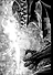 Берсерк. Том 14 (Berserk). Манга - 2