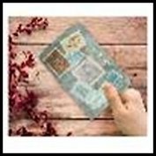 Обложка для паспорта (29068) (133х191) (ПВХ)