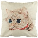 Подушка Кот акварель(текстиль)(43х43)