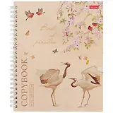 Тетрадь в клетку Hatber, "Нежные тона", 96 листов, в ассортименте